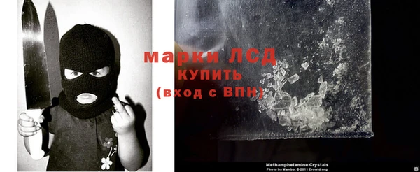 ПСИЛОЦИБИНОВЫЕ ГРИБЫ Арсеньев