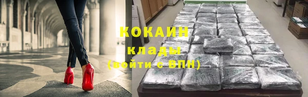 ПСИЛОЦИБИНОВЫЕ ГРИБЫ Арсеньев