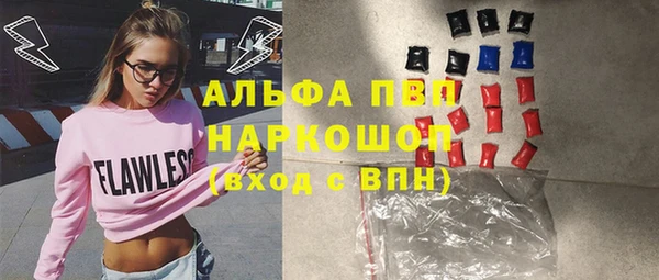ПСИЛОЦИБИНОВЫЕ ГРИБЫ Арсеньев