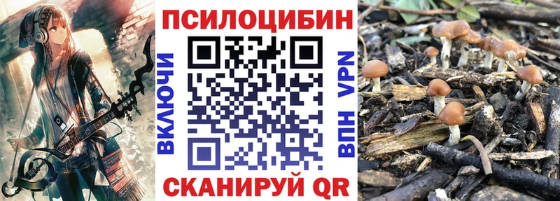 Псилоцибиновые грибы GOLDEN TEACHER  ссылка на мегу ссылка  Каспийск 