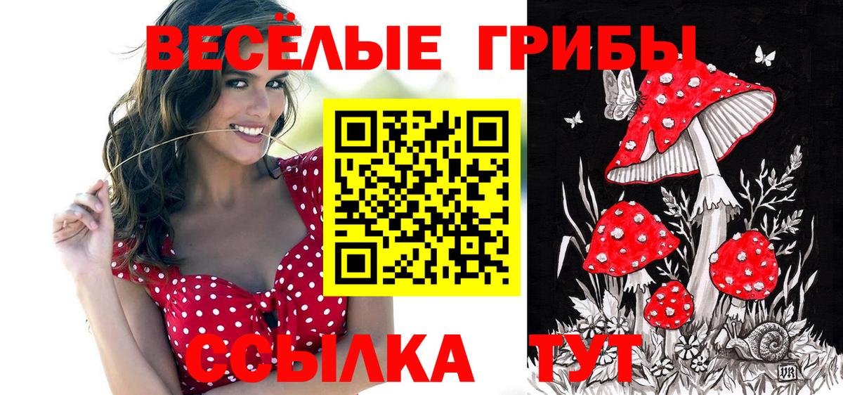 Псилоцибиновые грибы Cubensis Каспийск