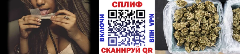 где продают   Каспийск  Марихуана планчик 